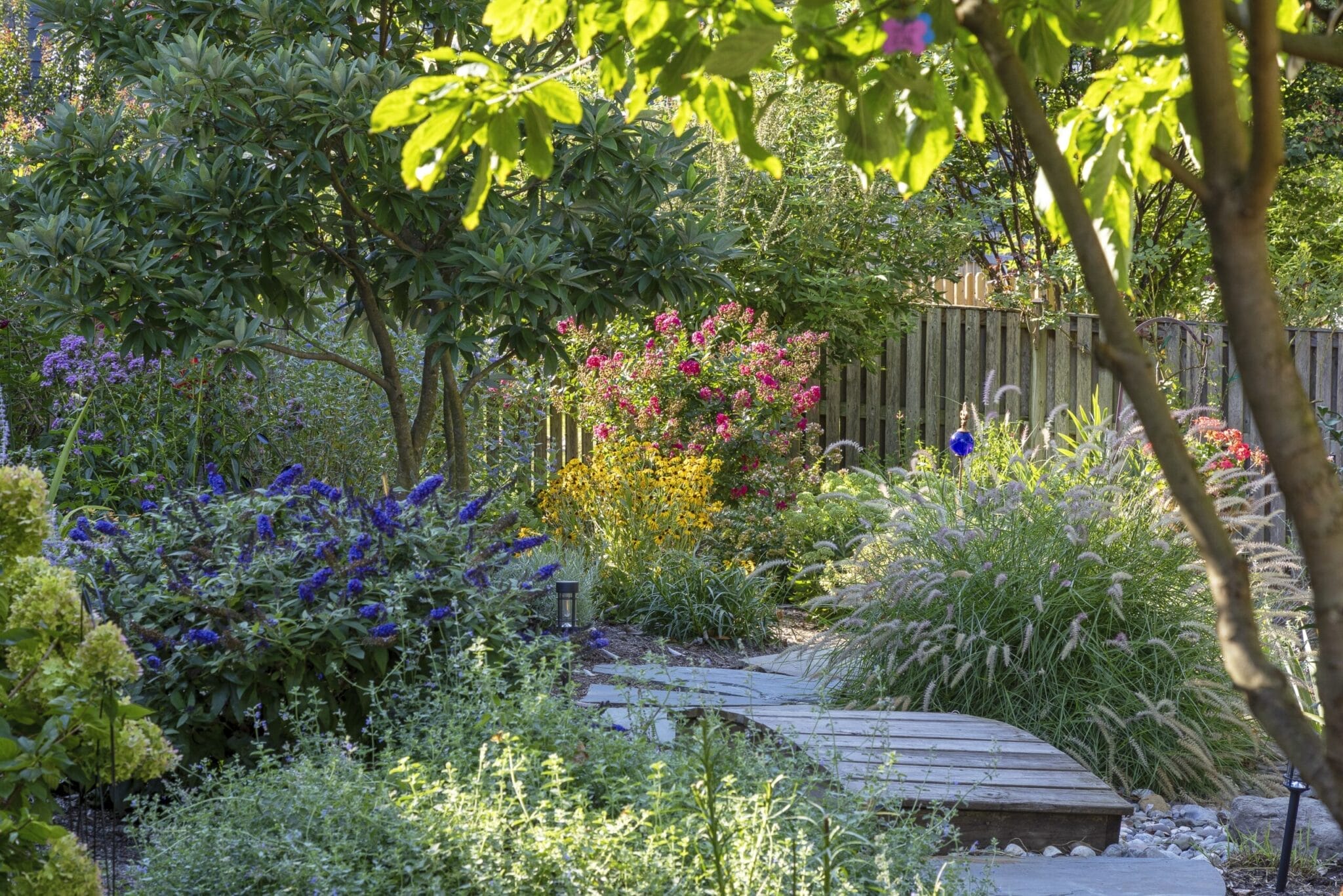 Lawn and shrubs freshly serviced during routine landscape maintenance work.