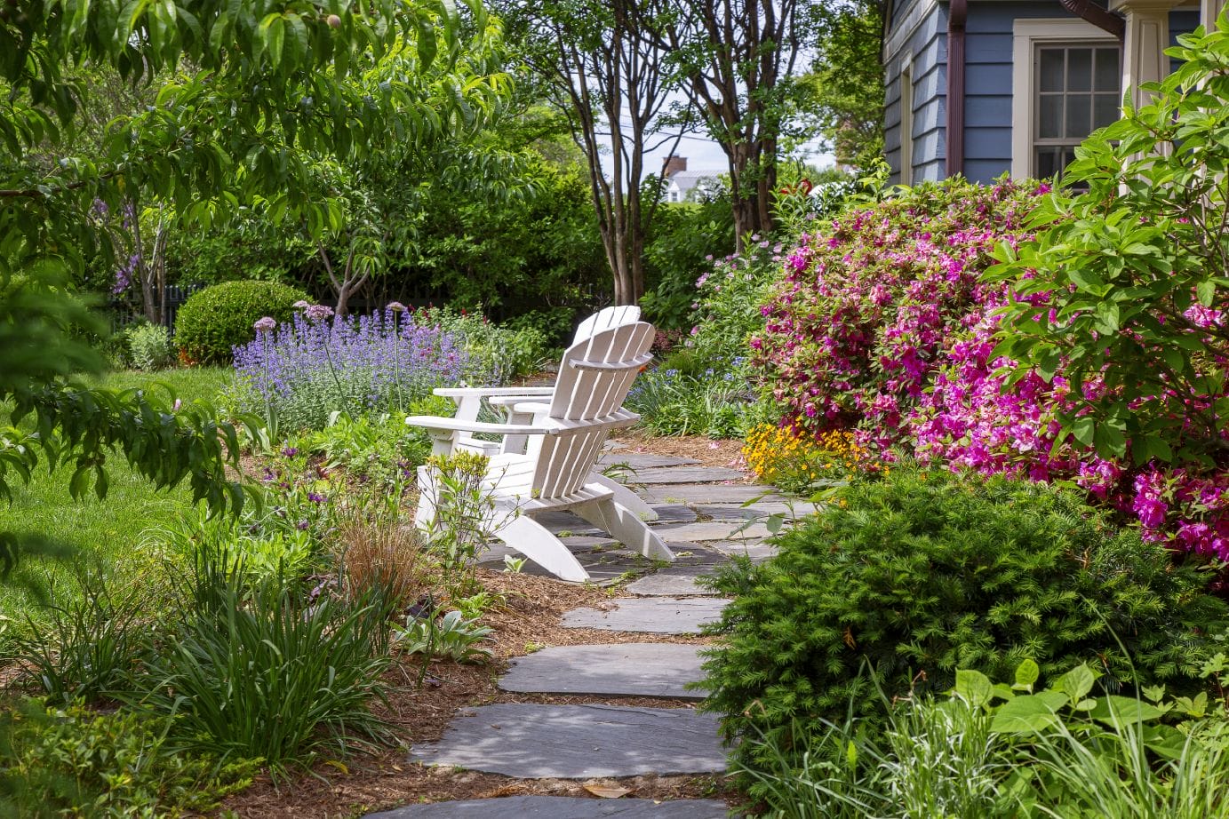 Why Choose Us section showcasing key benefits and services