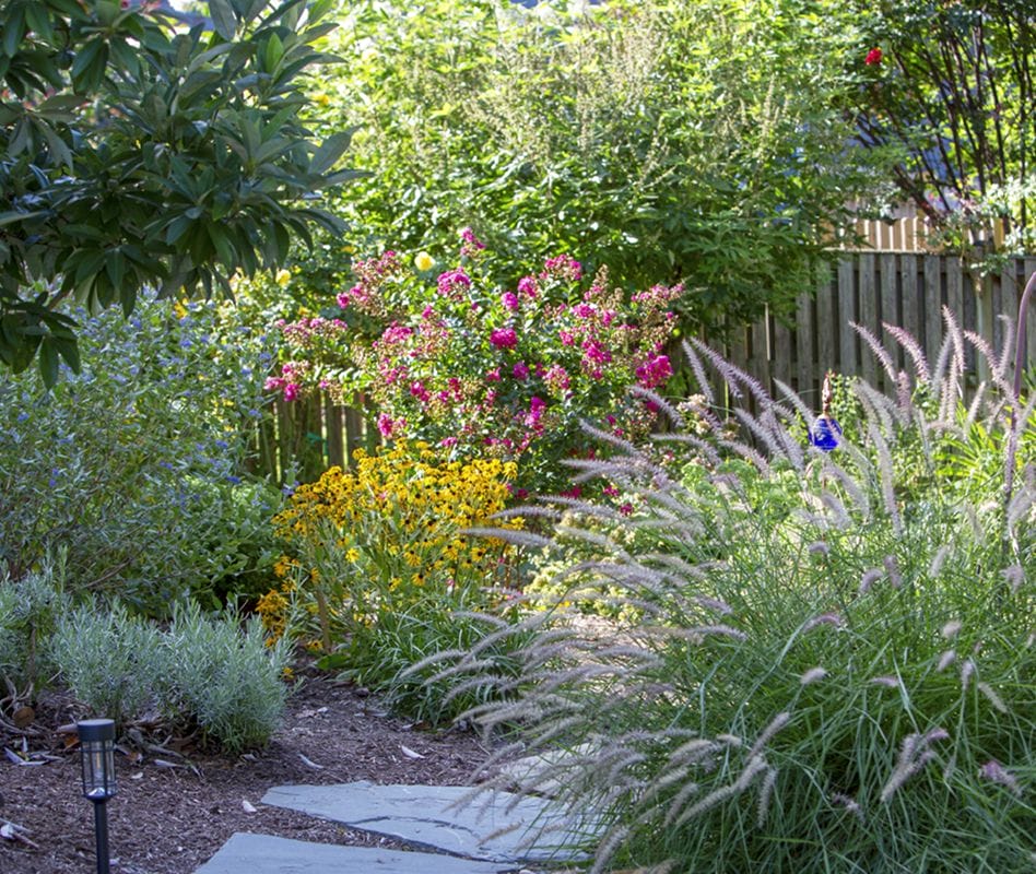 Ridge landscaped garden with trimmed grass, vibrant plants, and paved pathways.