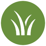 Simple grass icon representing lawn health and maintenance services.