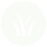 Clean, simple landscape design icon used to represent planning and conceptual layouts.