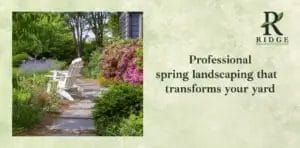 Professional landscaping creates a beautiful spring landscape with plants and garden design.